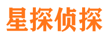 点军市调查公司